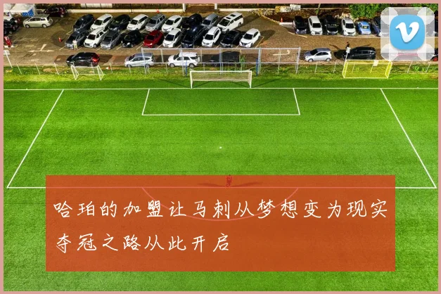 哈珀的加盟让马刺从梦想变为现实夺冠之路从此开启