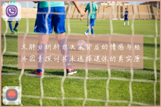 文胖分析科尔决策背后的情感与经济因素探讨其未选择退休的真实原因